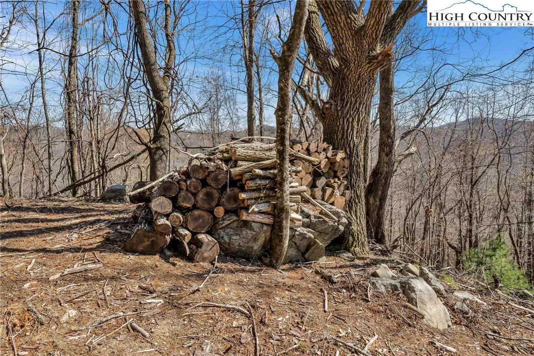Image number 2 for the current listing