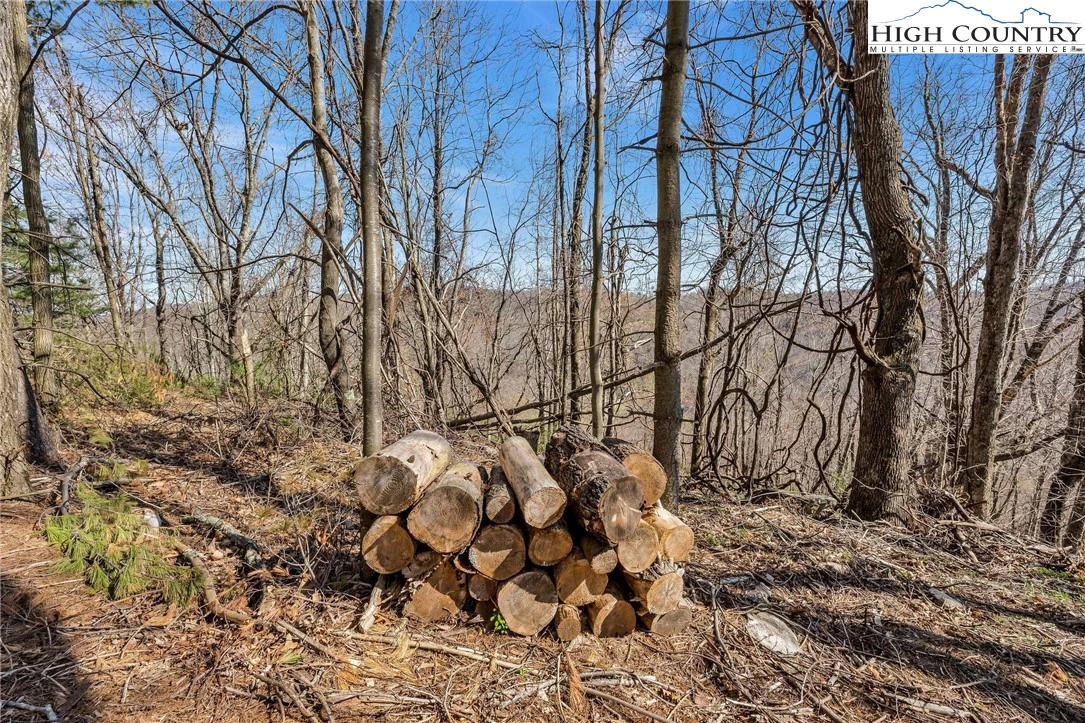 Image number 12 for the current listing