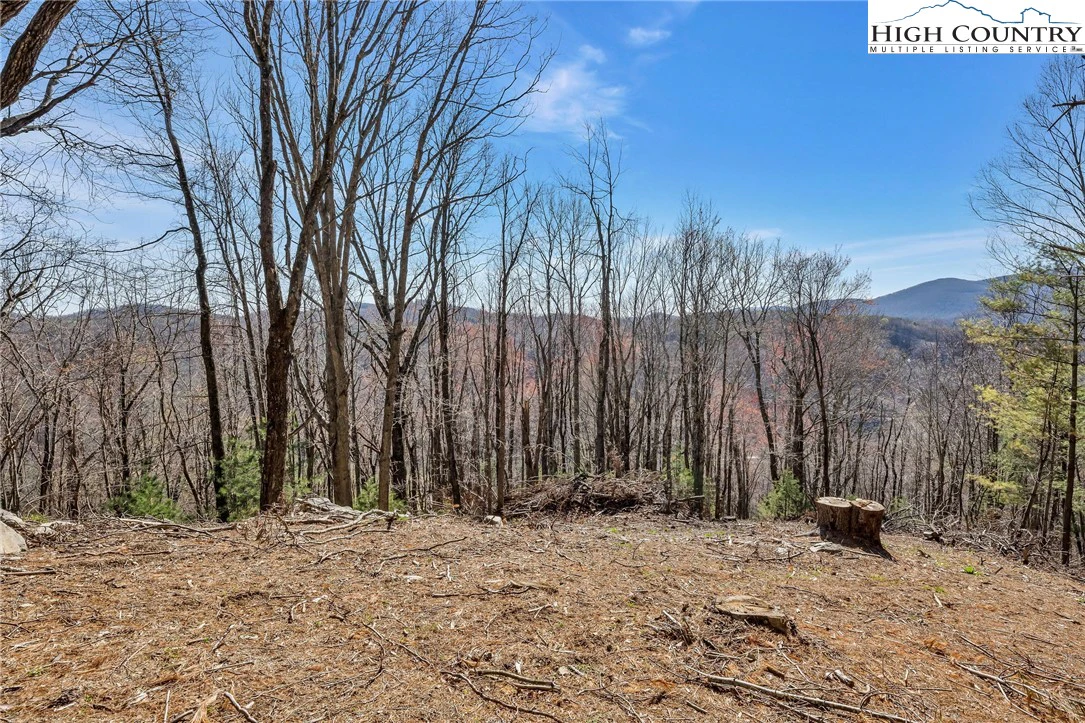 Image number 13 for the current listing