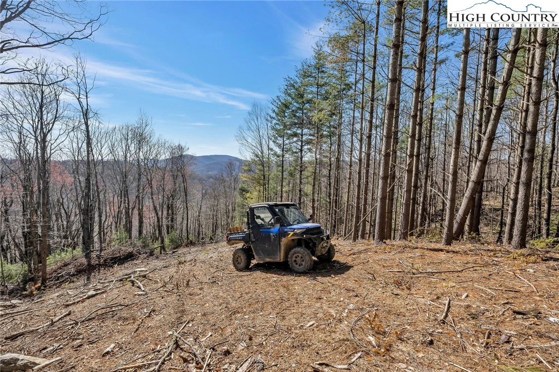 Image number 14 for the current listing