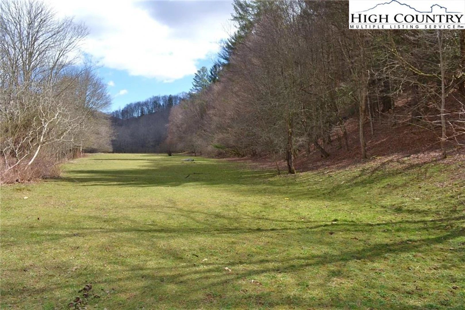 Image number 1 for the current listing