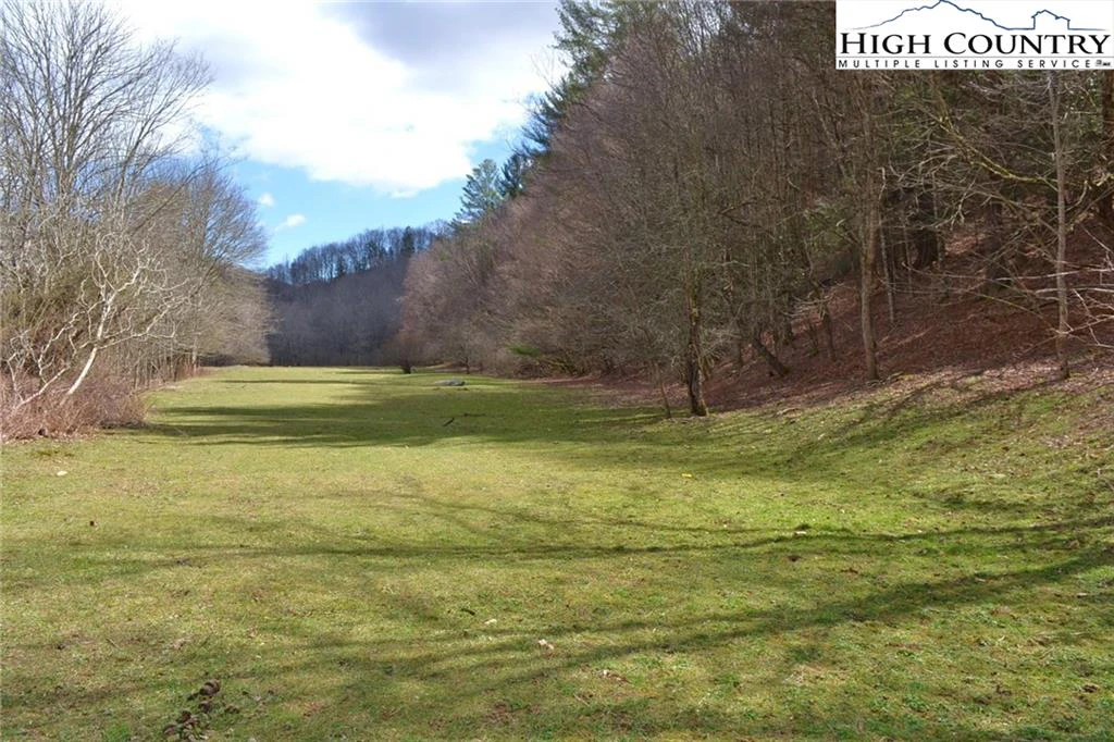 Image number 1 for the current listing