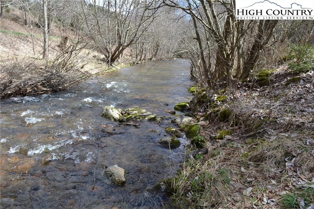 Image number 3 for the current listing