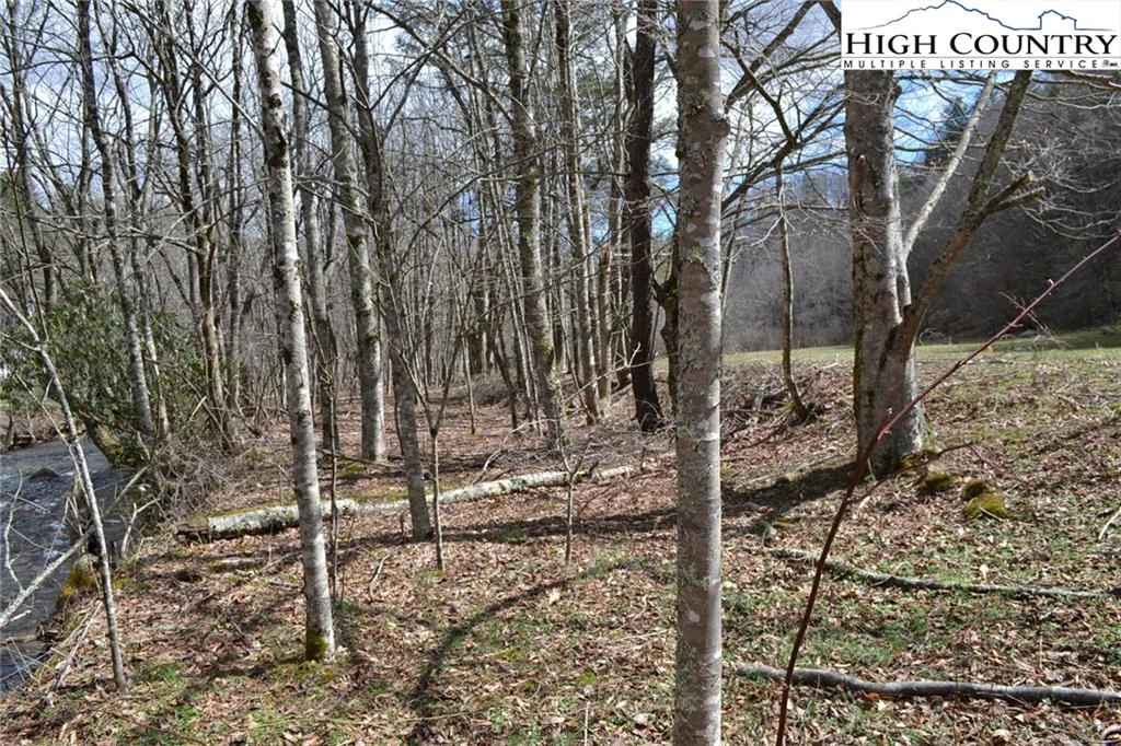 Image number 4 for the current listing