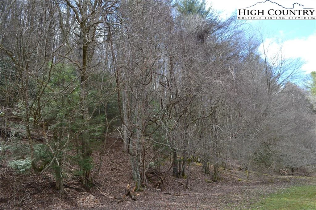 Image number 6 for the current listing