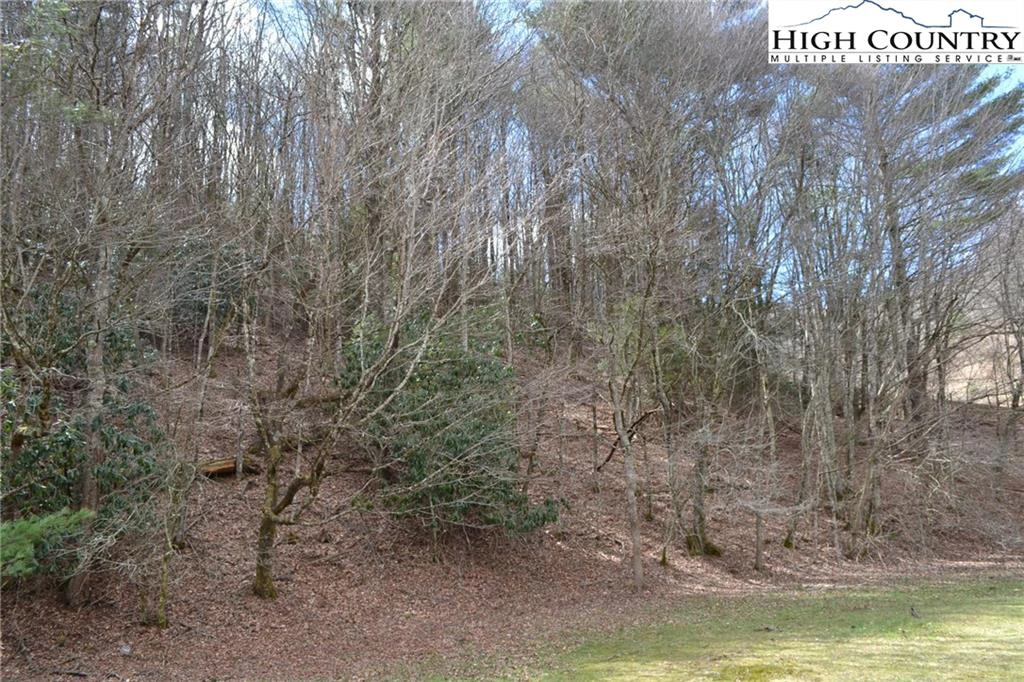 Image number 7 for the current listing