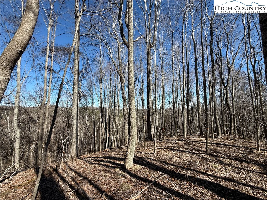Image number 1 for the current listing