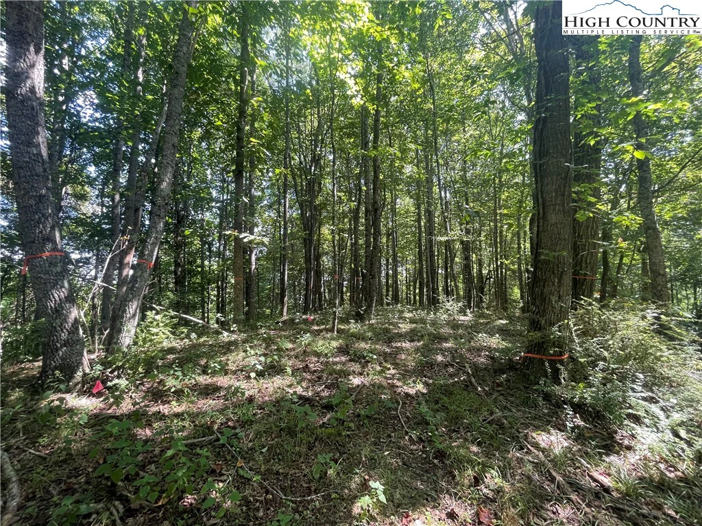 Image number 15 for the current listing