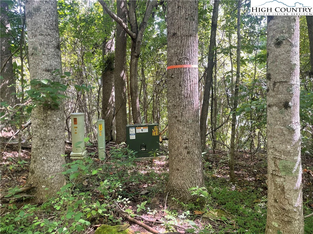 Image number 6 for the current listing