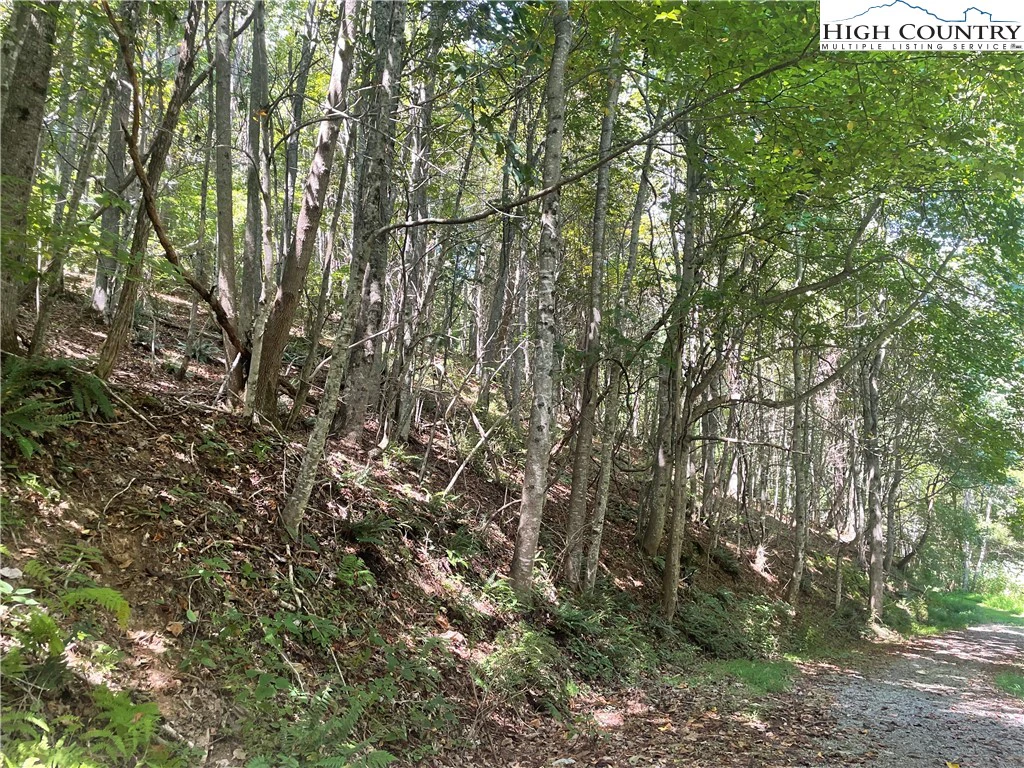 Image number 3 for the current listing