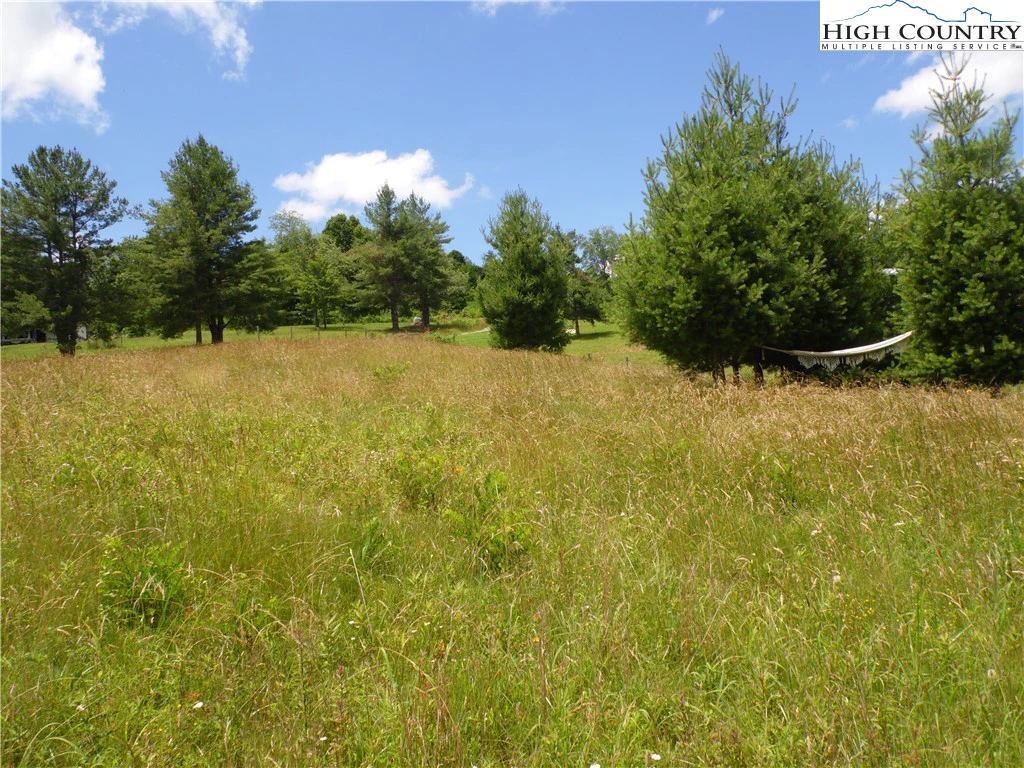 Image number 1 for the current listing