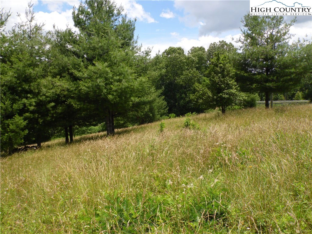 Image number 2 for the current listing