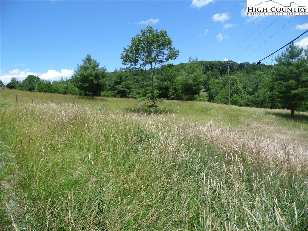 Image number 3 for the current listing