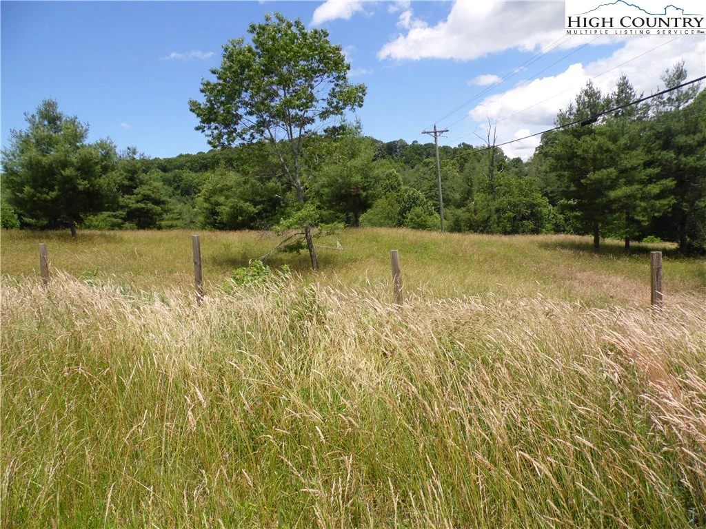 Image number 4 for the current listing