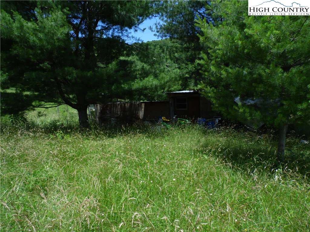Image number 7 for the current listing