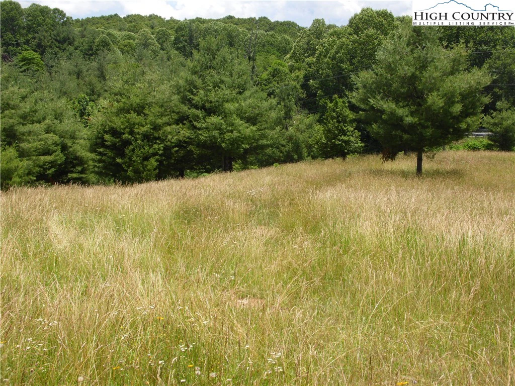 Image number 9 for the current listing