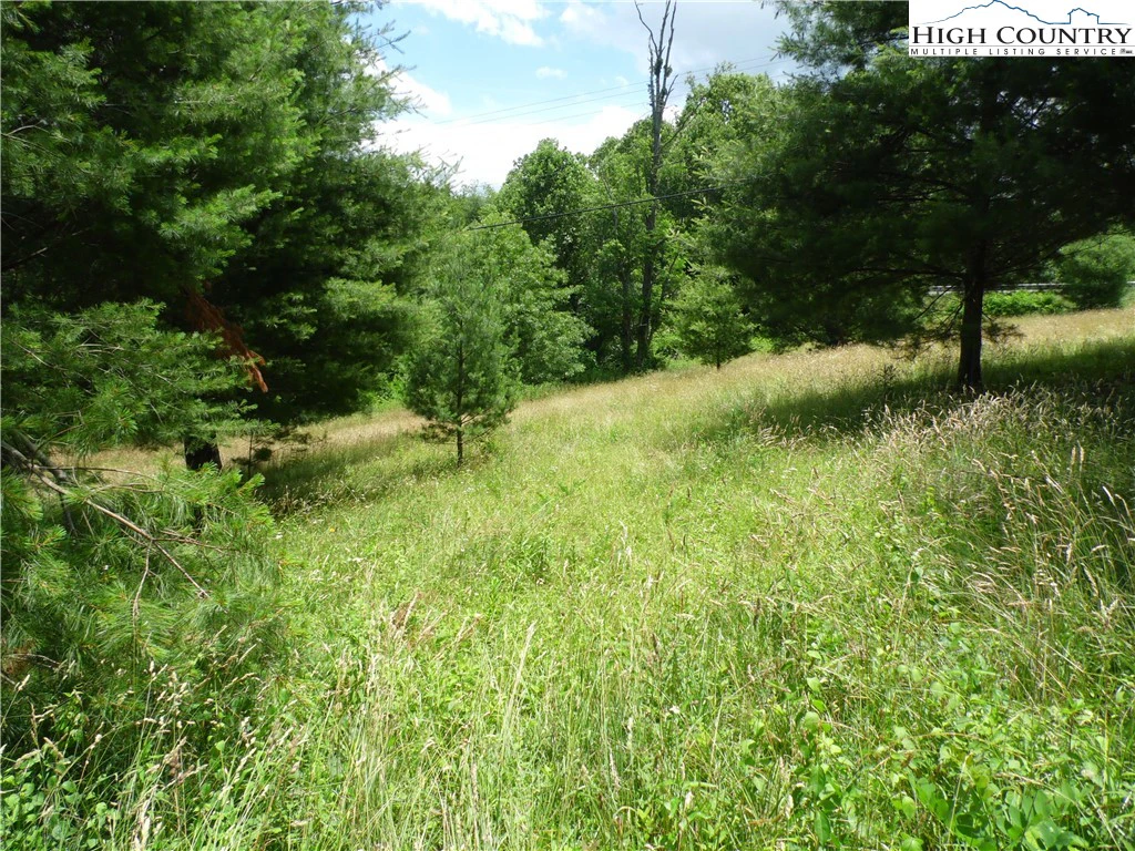 Image number 10 for the current listing
