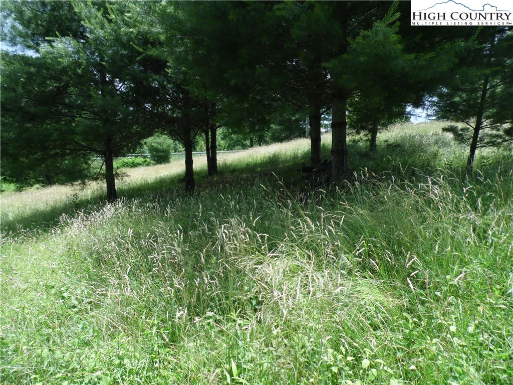 Image number 11 for the current listing