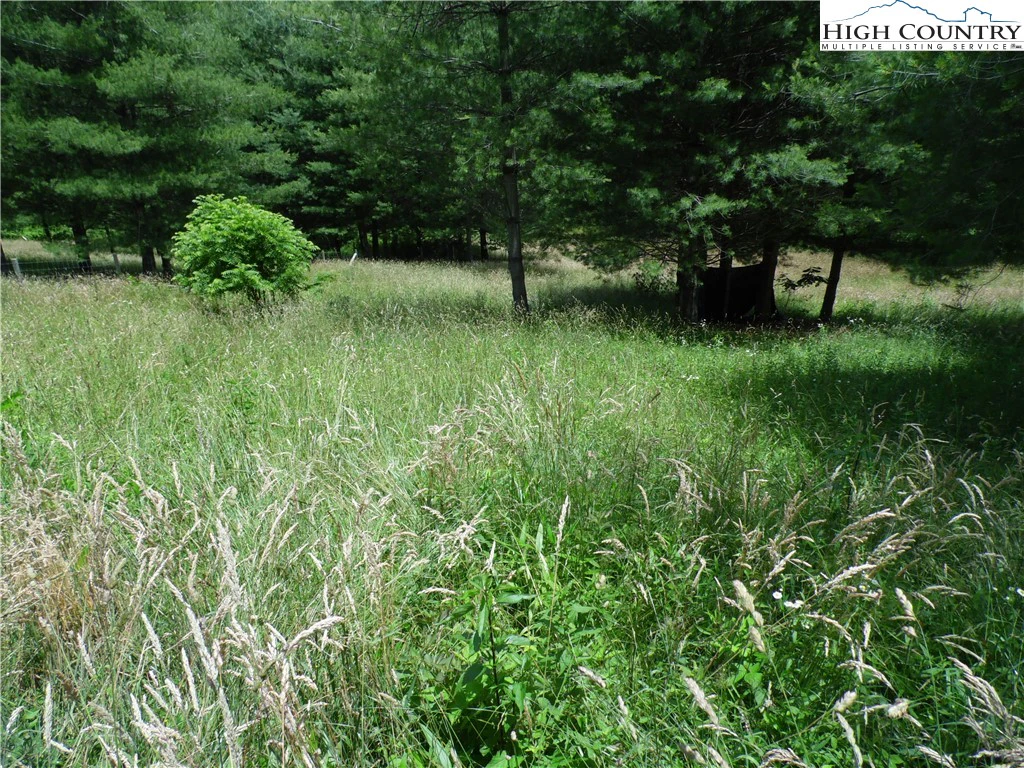 Image number 12 for the current listing