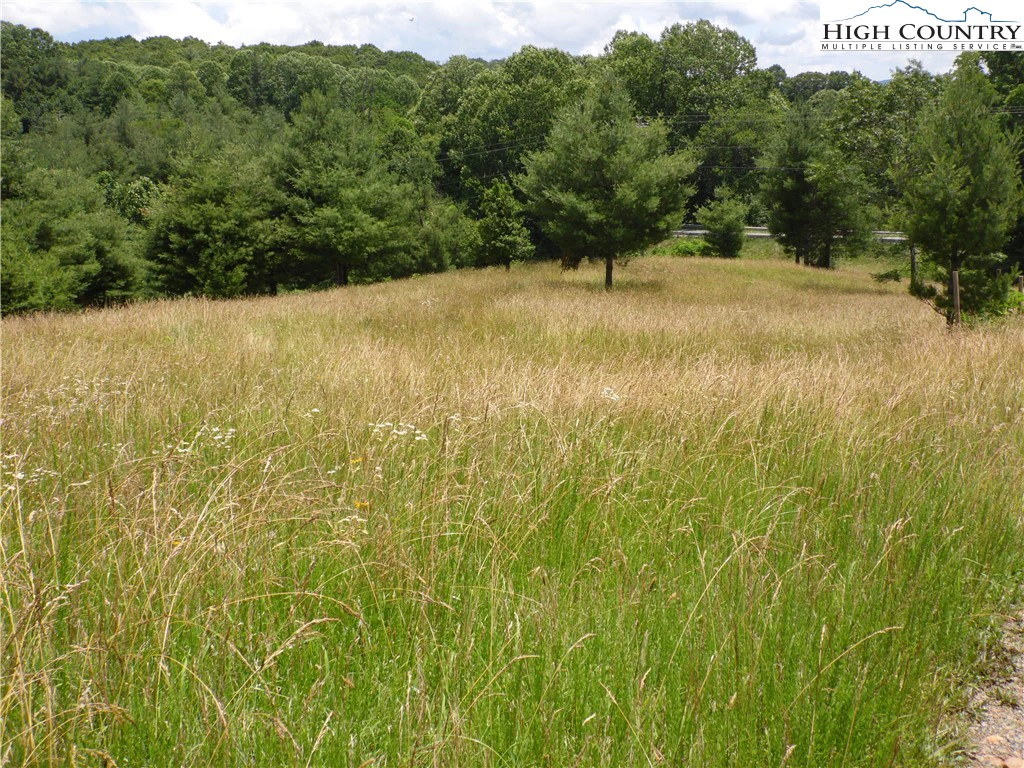 Image number 13 for the current listing