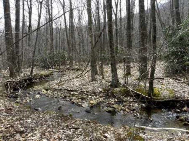 Image number 1 for the current listing