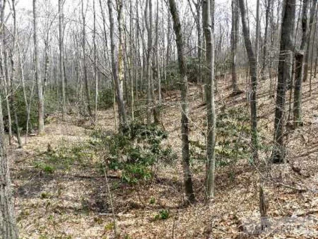 Image number 15 for the current listing
