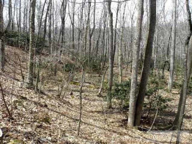 Image number 2 for the current listing