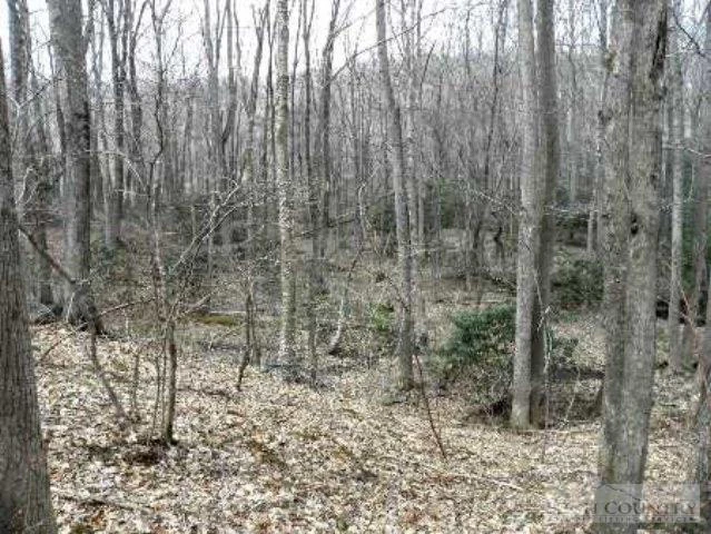 Image number 12 for the current listing