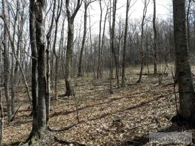 Image number 11 for the current listing
