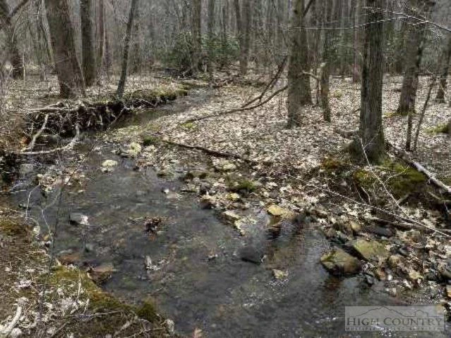 Image number 8 for the current listing