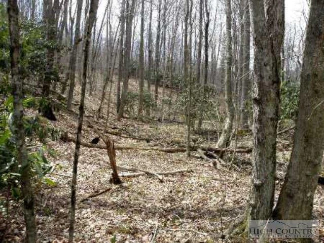 Image number 21 for the current listing