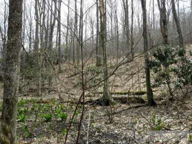 Image number 18 for the current listing