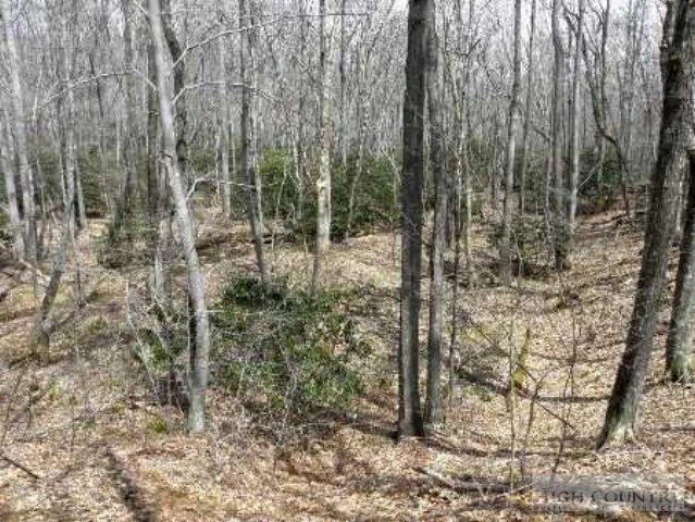 Image number 16 for the current listing