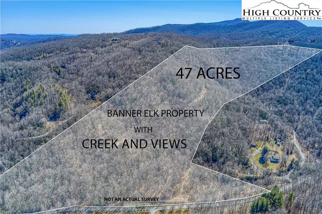 Image number 1 for the current listing