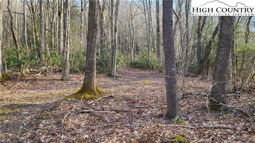 Image number 10 for the current listing
