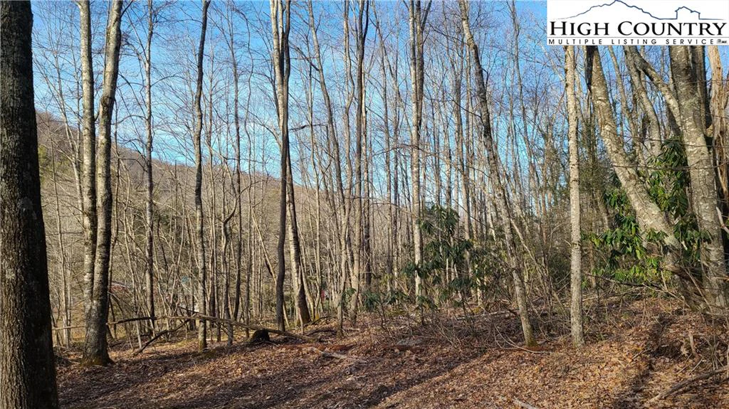 Image number 3 for the current listing