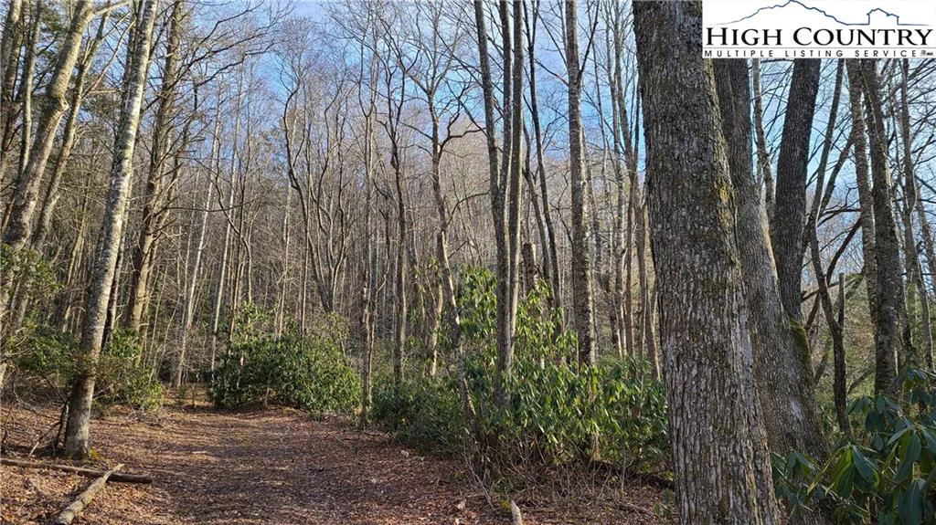 Image number 5 for the current listing