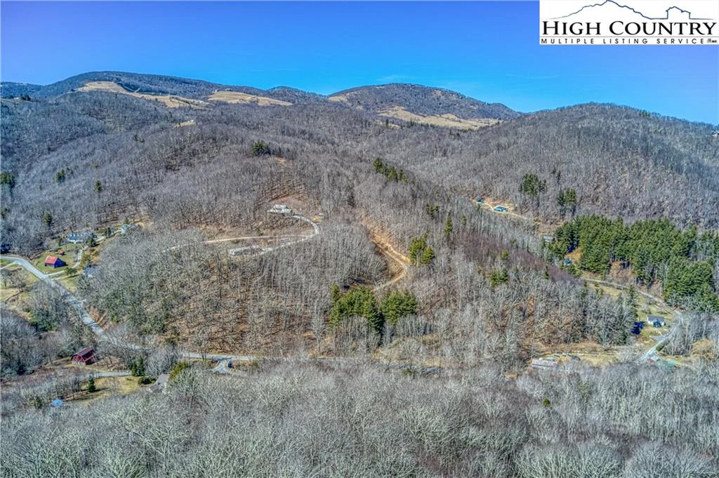 Image number 11 for the current listing