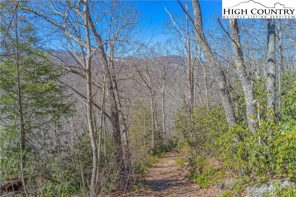 Image number 13 for the current listing