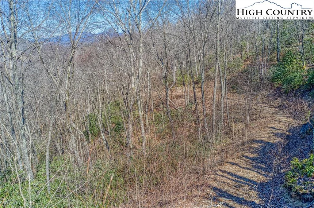 Image number 14 for the current listing