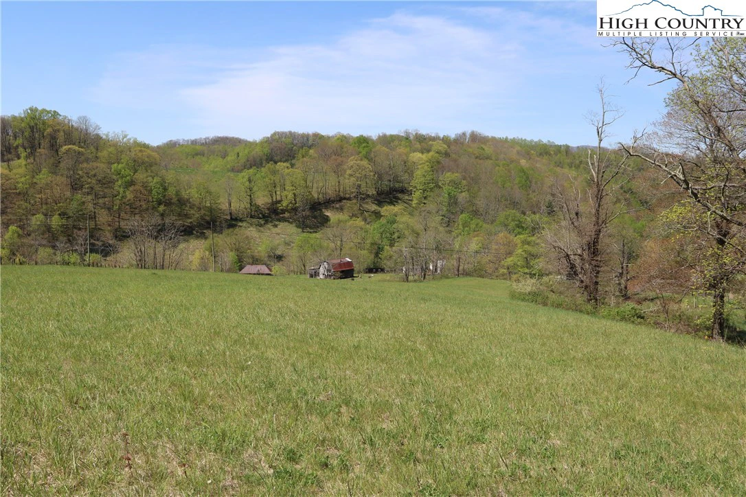 Image number 9 for the current listing