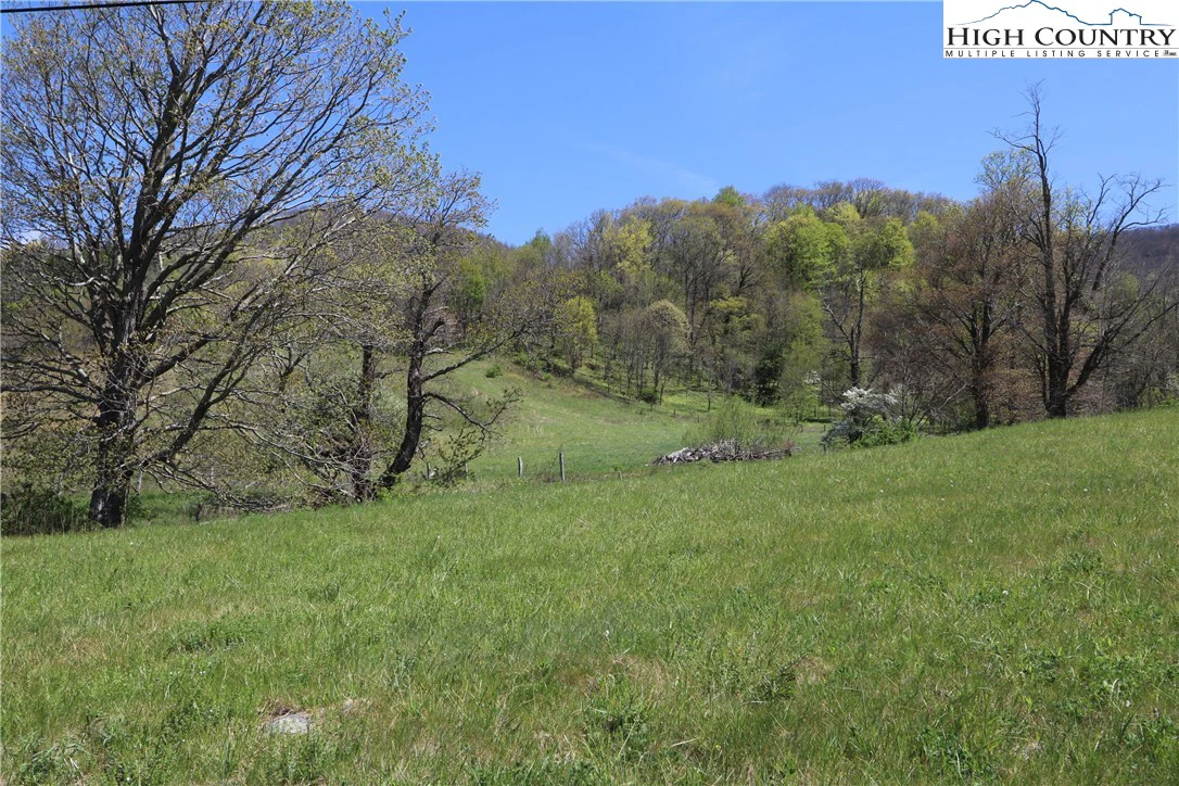Image number 6 for the current listing
