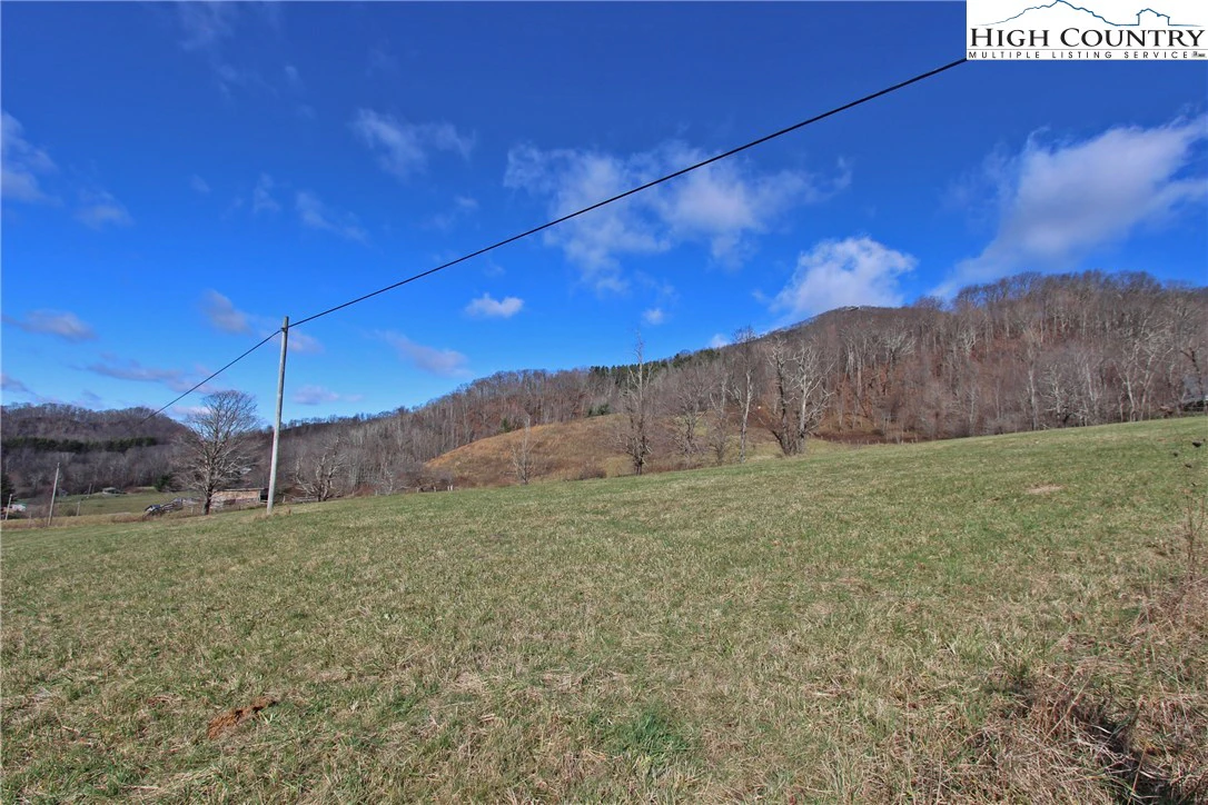 Image number 4 for the current listing