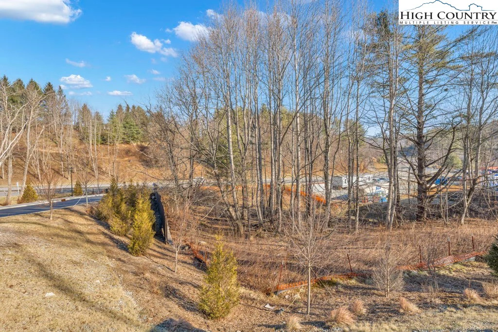 Image number 3 for the current listing