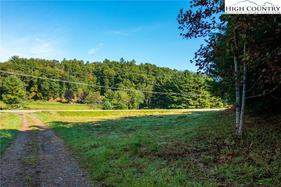 Image number 12 for the current listing