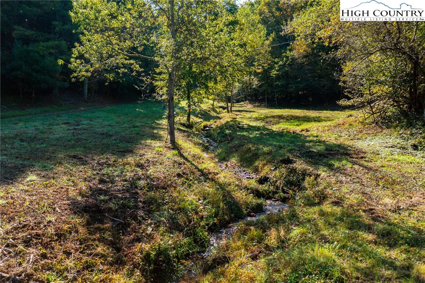 Image number 11 for the current listing