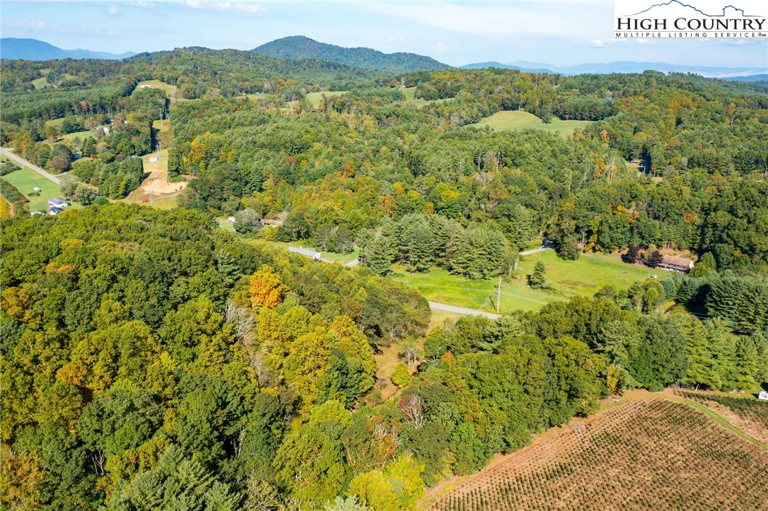 Image number 6 for the current listing