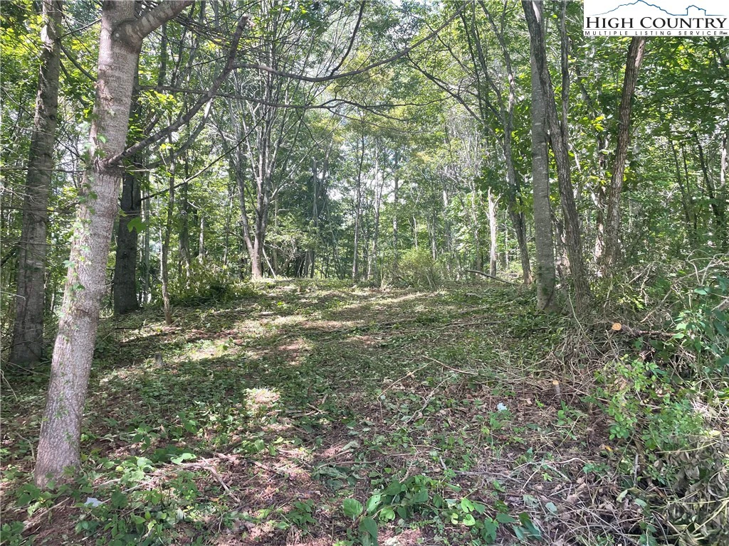Image number 19 for the current listing