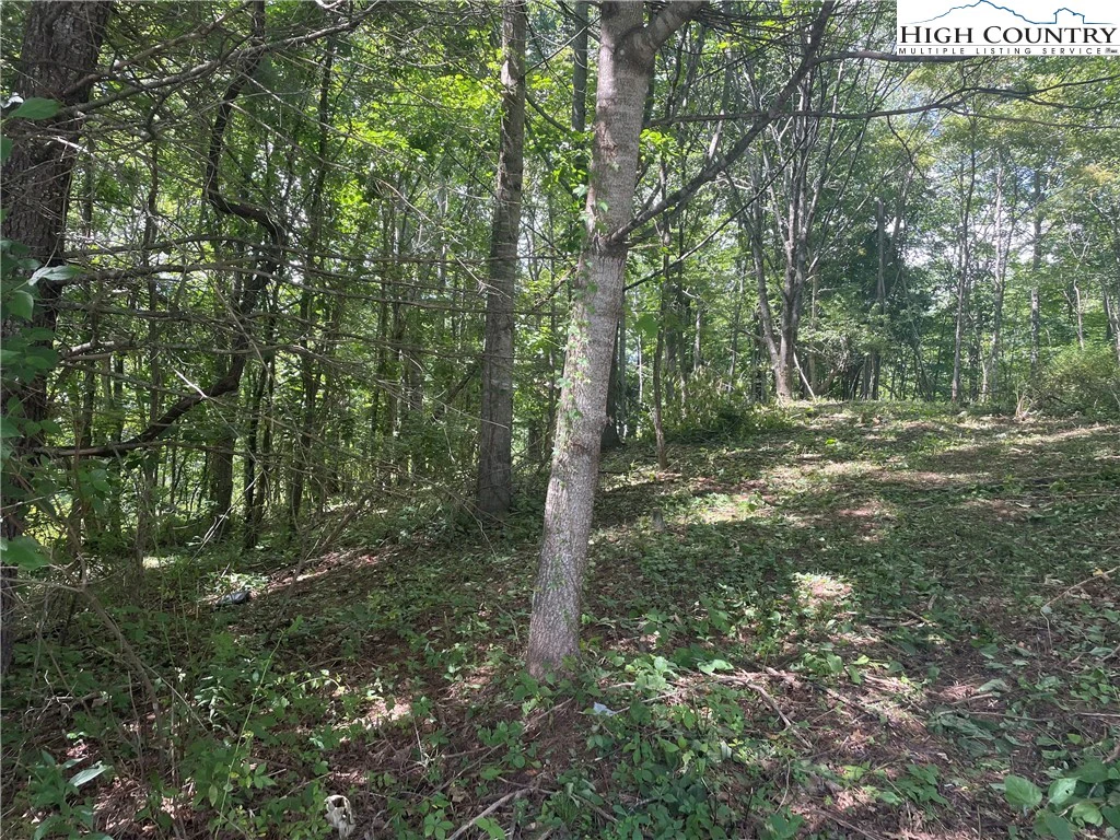 Image number 18 for the current listing