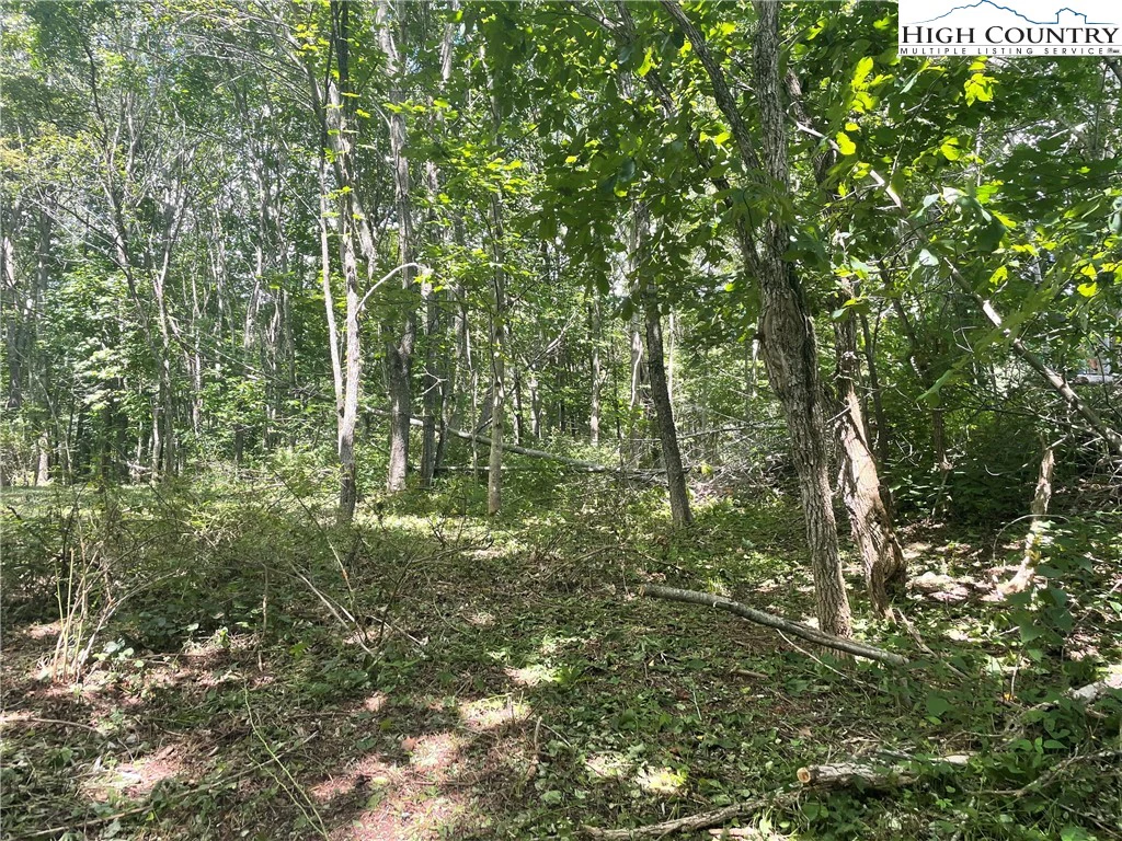 Image number 16 for the current listing